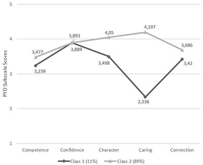 The Importance of Positive Psychological Strengths in Well-Being and Adjustment of Romanian Emerging Adults: A Pattern and Variable-Oriented Approach